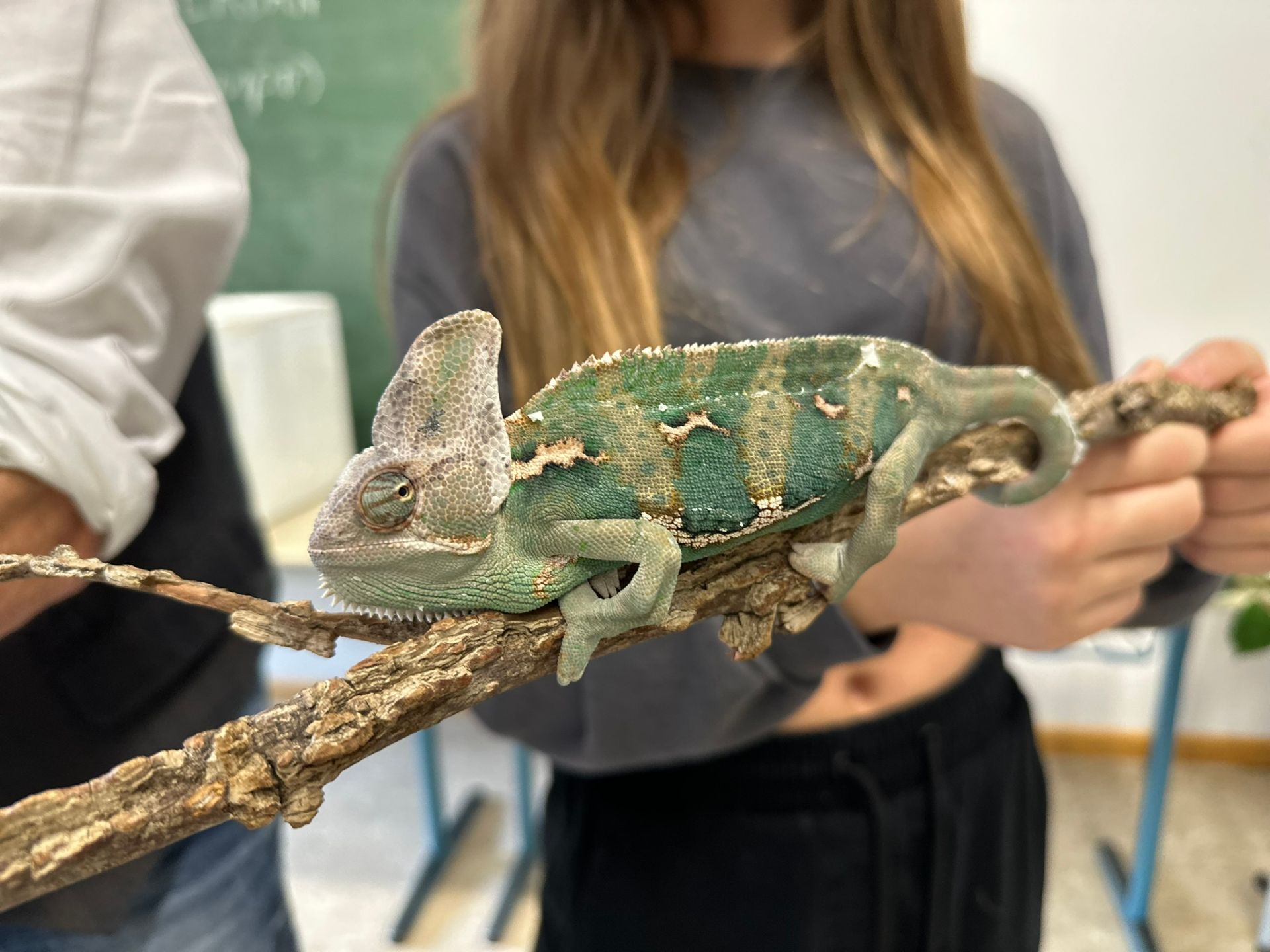 Biologieunterricht zum Anfassen an der Realschule Simbach