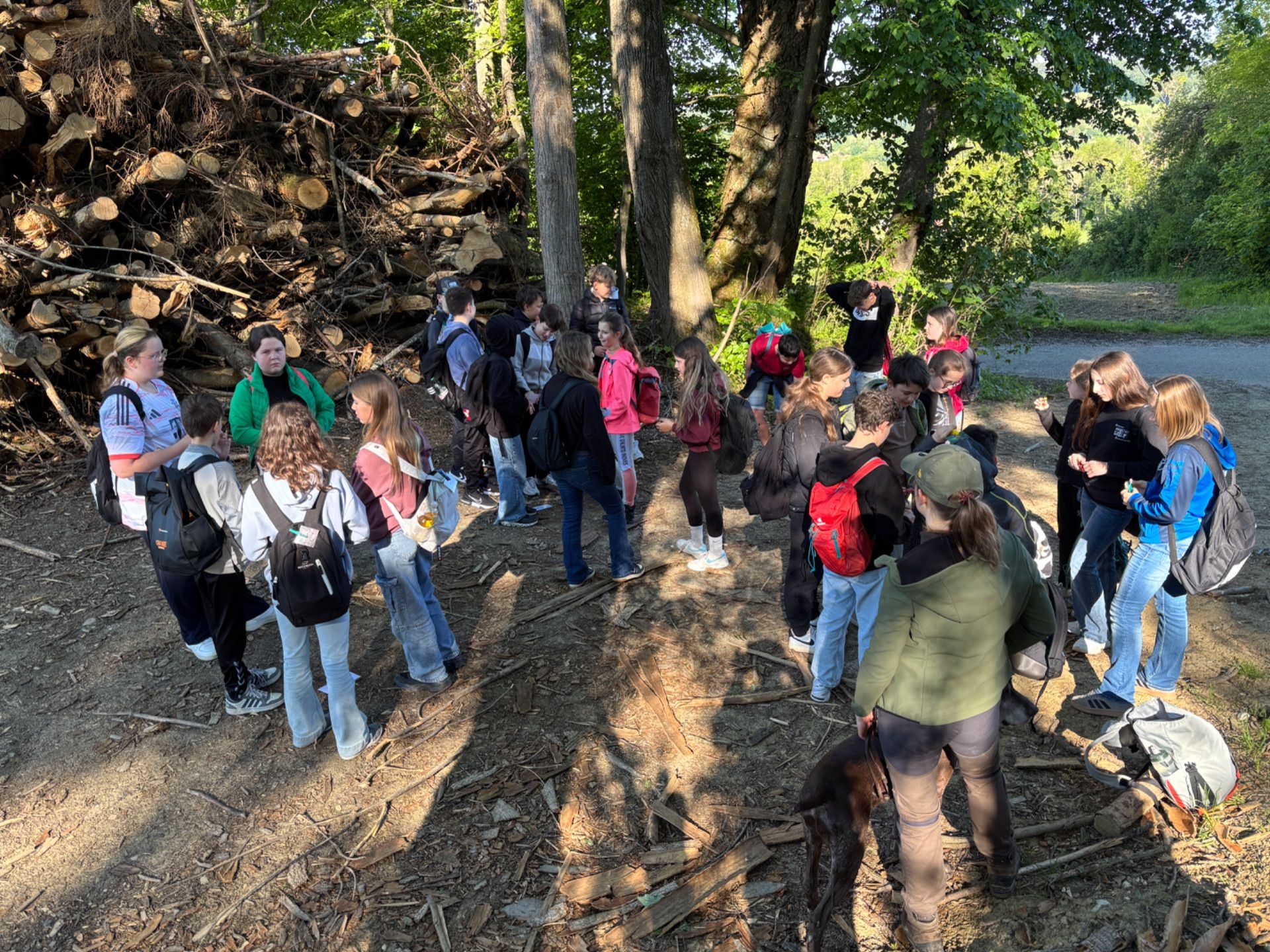 Sechstklässler erkunden den Wald mit allen Sinnen